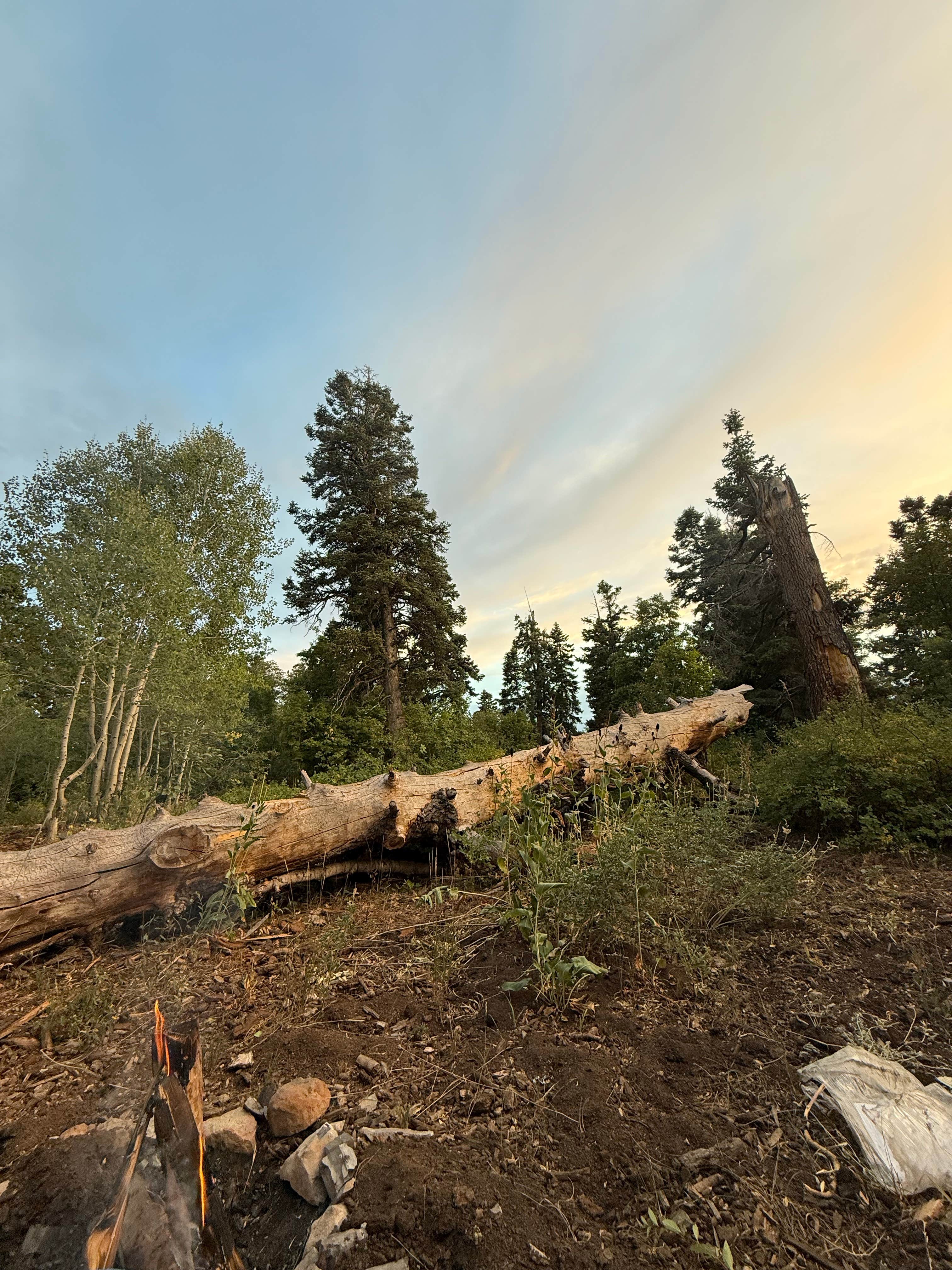 Camper-submitted photo at Hobble Right Fork Dispersed near Payson, UT
