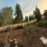Review photo of Hobble Right Fork Dispersed by connor P., August 15, 2025