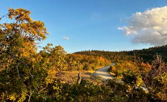 Marasha L.'s photo of a dispersed camping area at Hobble Right Fork Dispersed near Santaquin, UT