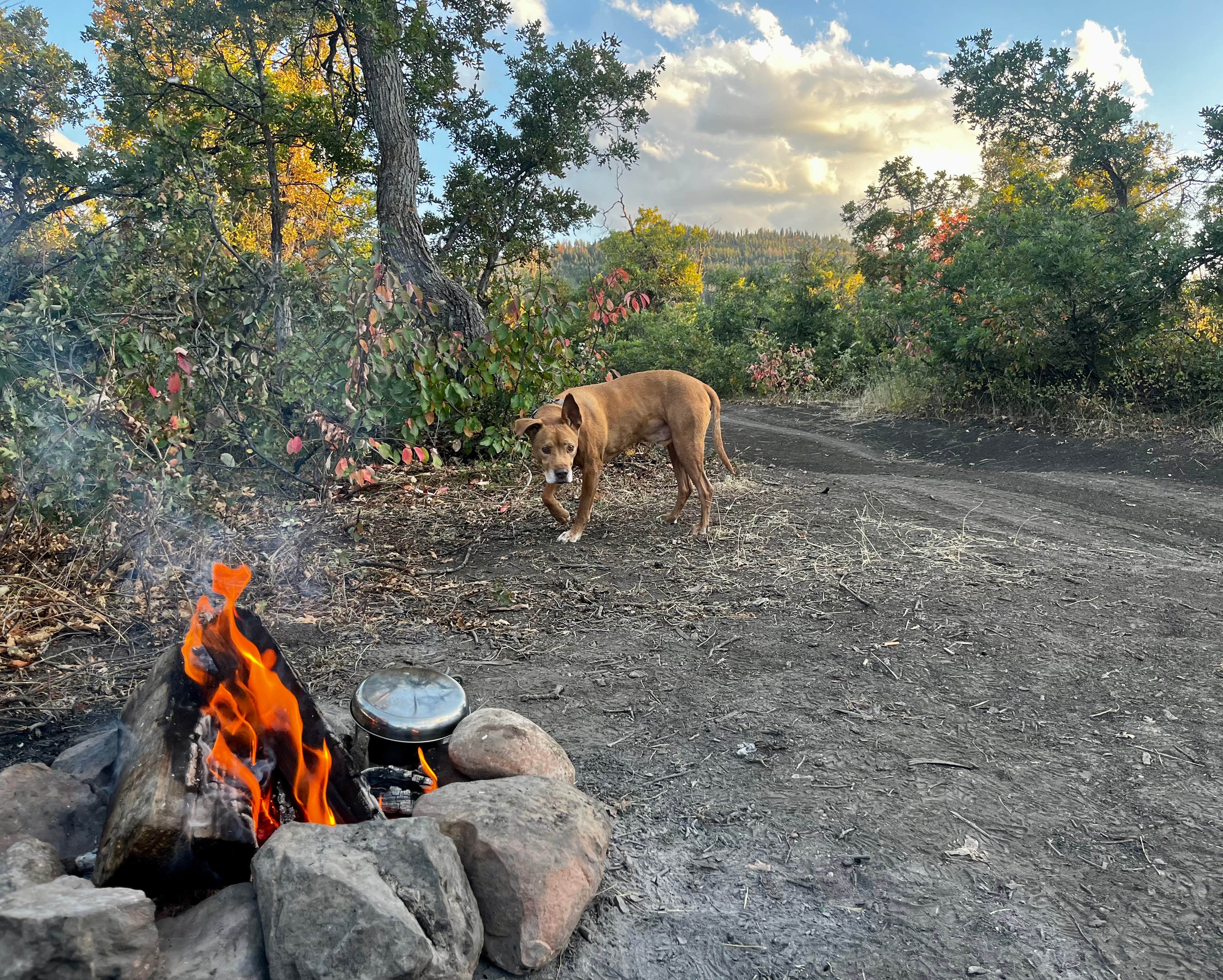 Camper-submitted photo at Hobble Right Fork Dispersed near Payson, UT
