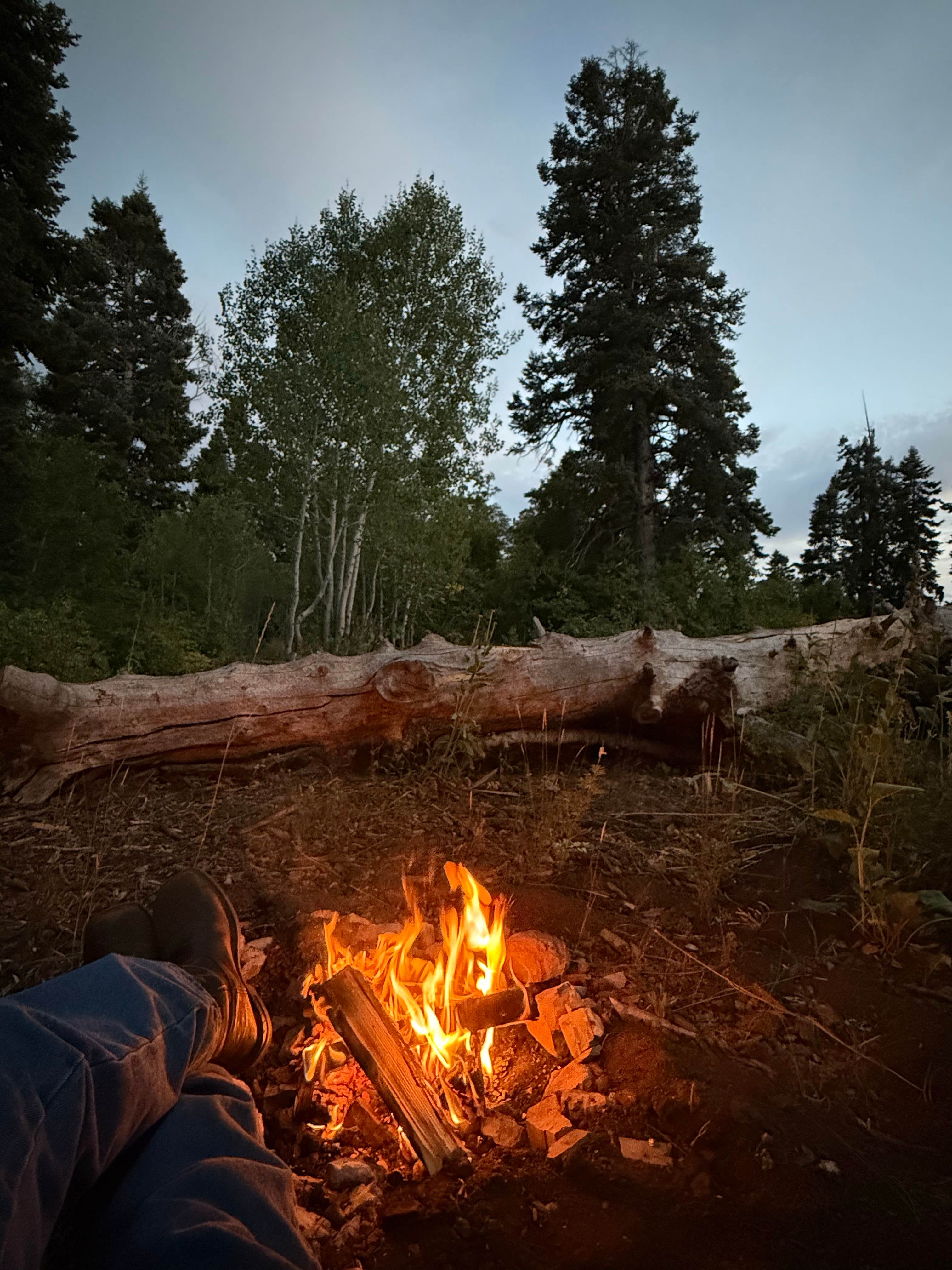 Camper submitted image from Hobble Right Fork Dispersed - 1