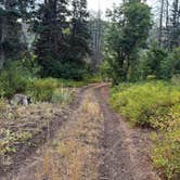 Review photo of Hobble Right Fork Dispersed by connor P., August 15, 2025