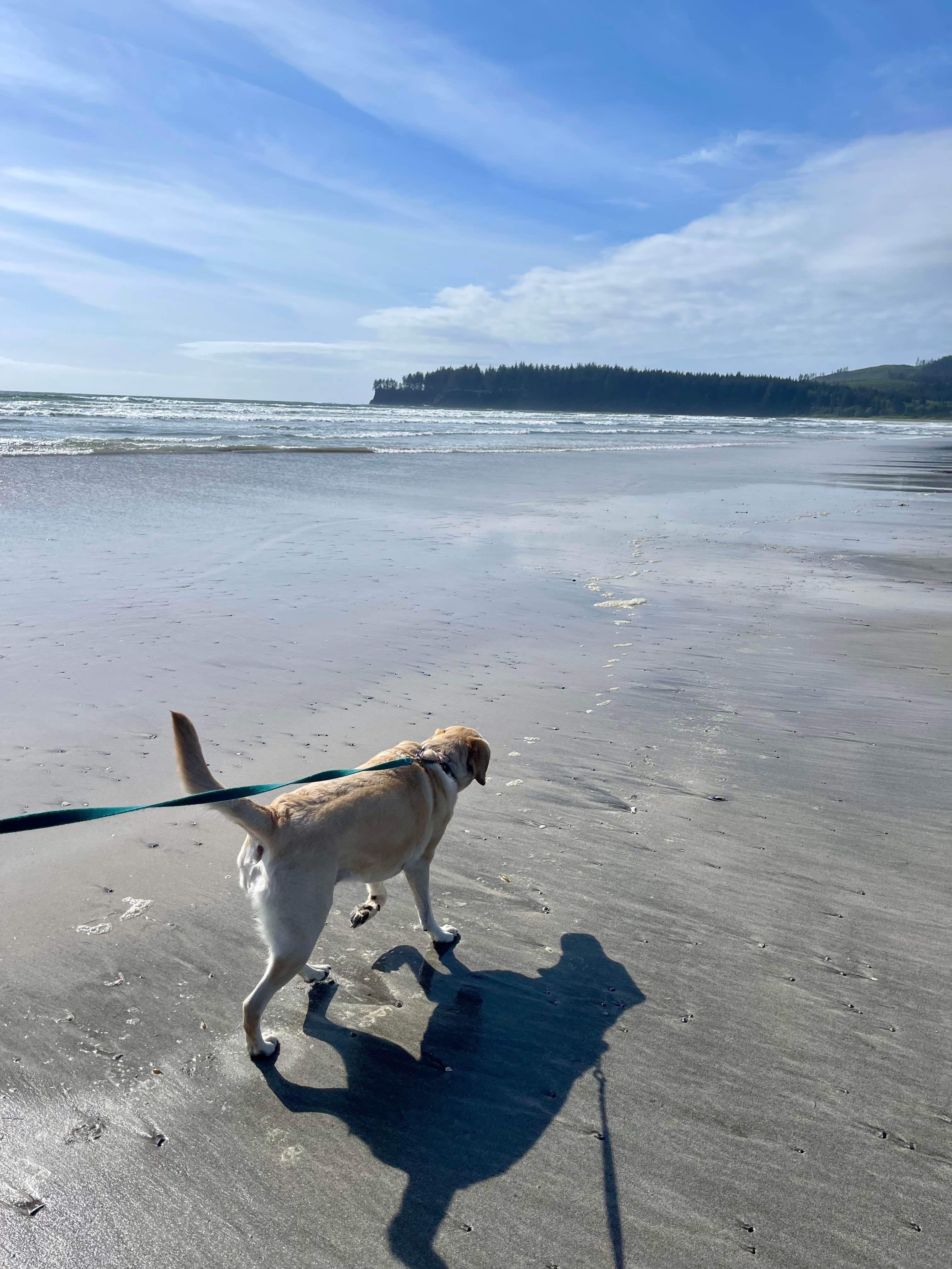 Jennifer C.'s photo of camping with pets at Hobuck Resort and Beach Area near Neah Bay, WA