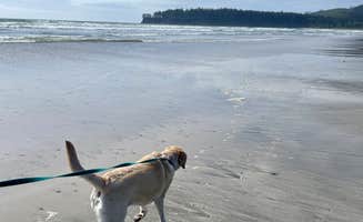 Jennifer C.'s photo of camping with pets at Hobuck Resort and Beach Area near La Push, WA