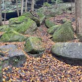 Review photo of Hocking Hills State Park Campground by Tyler S., January 8, 2025