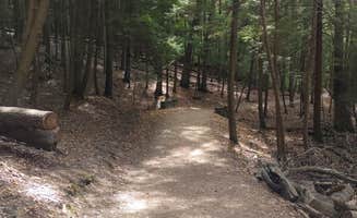Djakata S.'s photo of camping with pets at Hocking Hills State Park Campground near New Lexington, OH