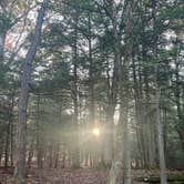 Review photo of Hocking Hills State Park Campground by Tyler S., January 8, 2025