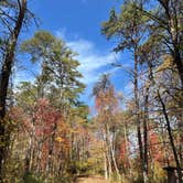 Review photo of Hocking Hills State Park Campground by Tyler S., January 8, 2025