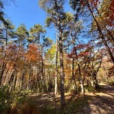 Review photo of Hocking Hills State Park Campground by Tyler S., January 8, 2025