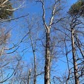 Review photo of Hocking Hills State Park Campground by Scott D., March 11, 2025