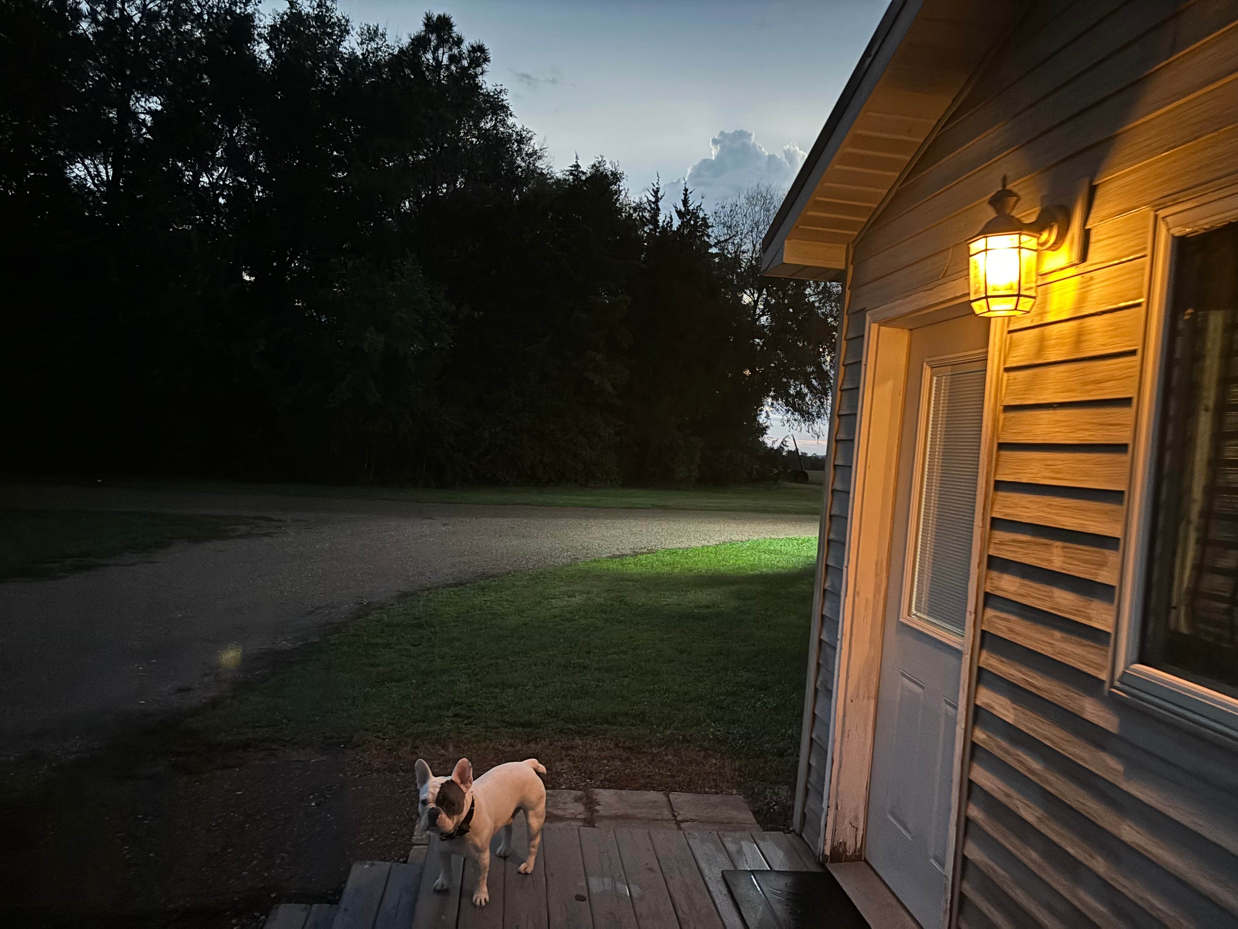 J. C.'s photo of camping with pets at Hofeman's Haven & Campground near Aberdeen, SD