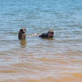 Review photo of Hog Creek West — Lake Thunderbird State Park by Kimberly M., August 19, 2026