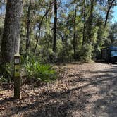 Review photo of Hog Island Recreation Area by Chris A., January 21, 2025