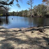 Review photo of Hog Island Recreation Area by Chris A., January 21, 2025