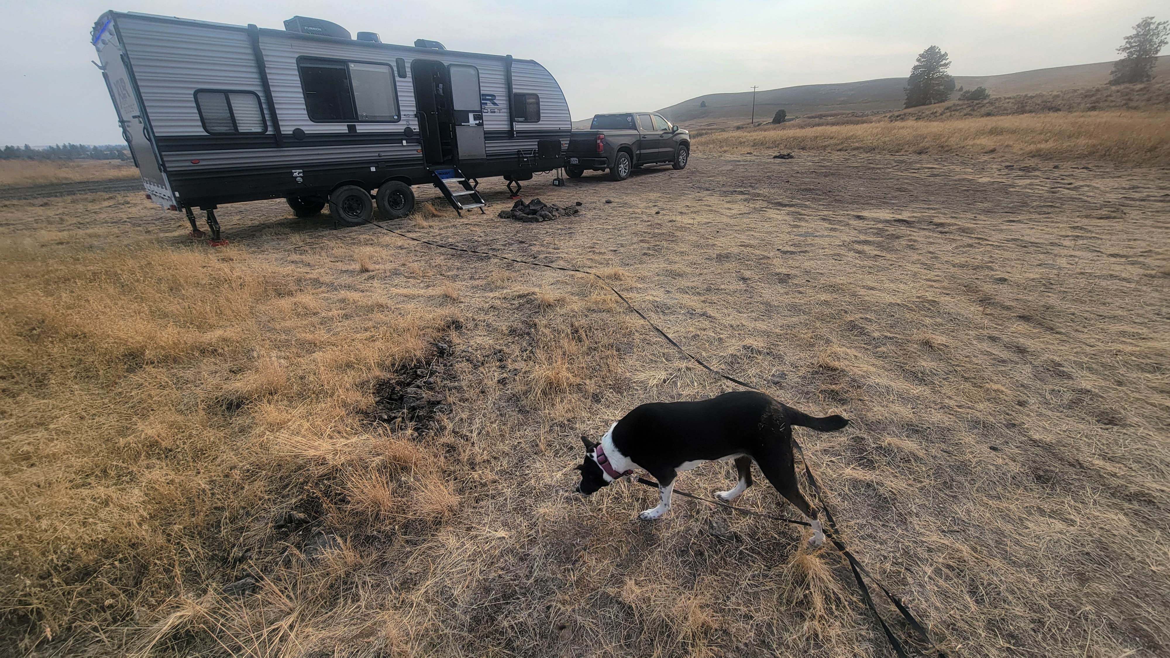 ron R.'s photo of camping with pets at Hog Lake Campground near Valleyford, WA