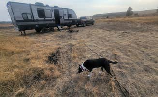 ron R.'s photo of camping with pets at Hog Lake Campground near Lamont, WA