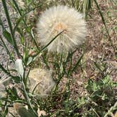 Review photo of Hog Lake Campground by Chandra B., September 5, 2025