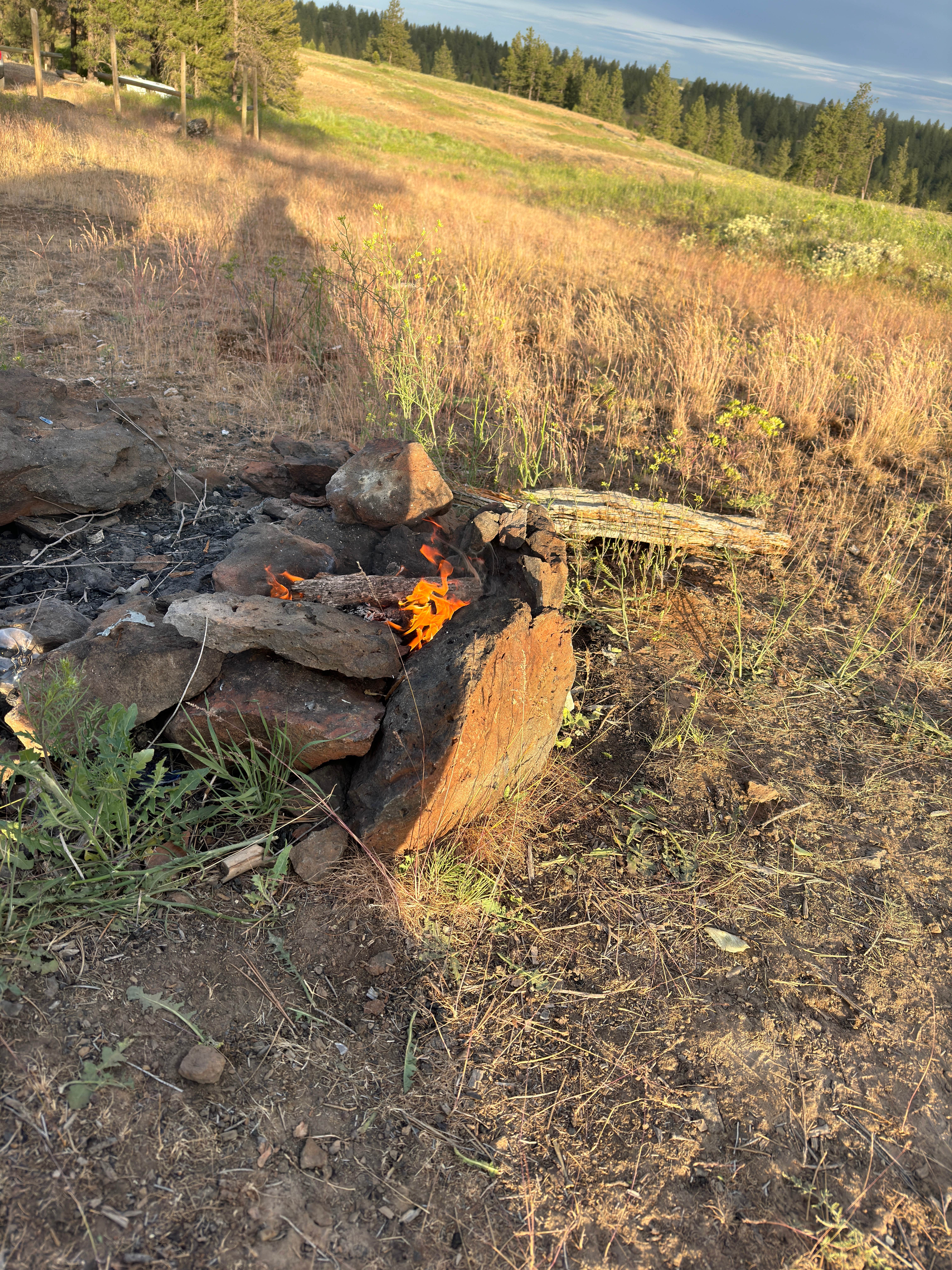 Camper-submitted photo at Hog Lake Campground near St. John, WA