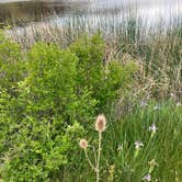 Review photo of Hog Lake Campground by Chandra B., September 5, 2025