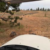 Review photo of Hog Lake Campground by Vivian N., June 23, 2025
