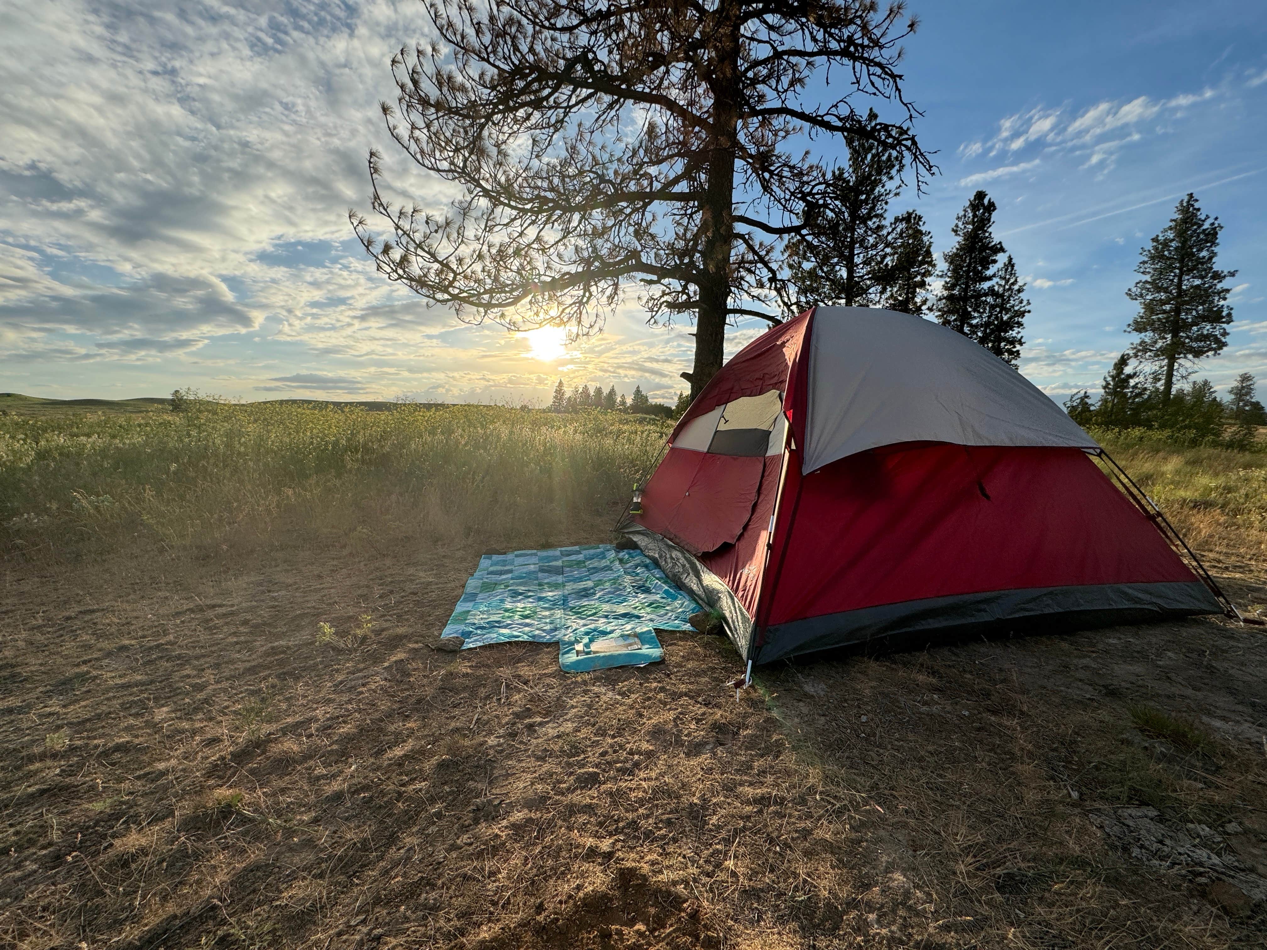 Camper-submitted photo at Hog Lake Campground near St. John, WA