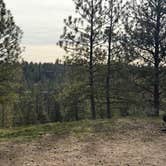 Review photo of Hog Lake Campground by Josh W., March 3, 2026