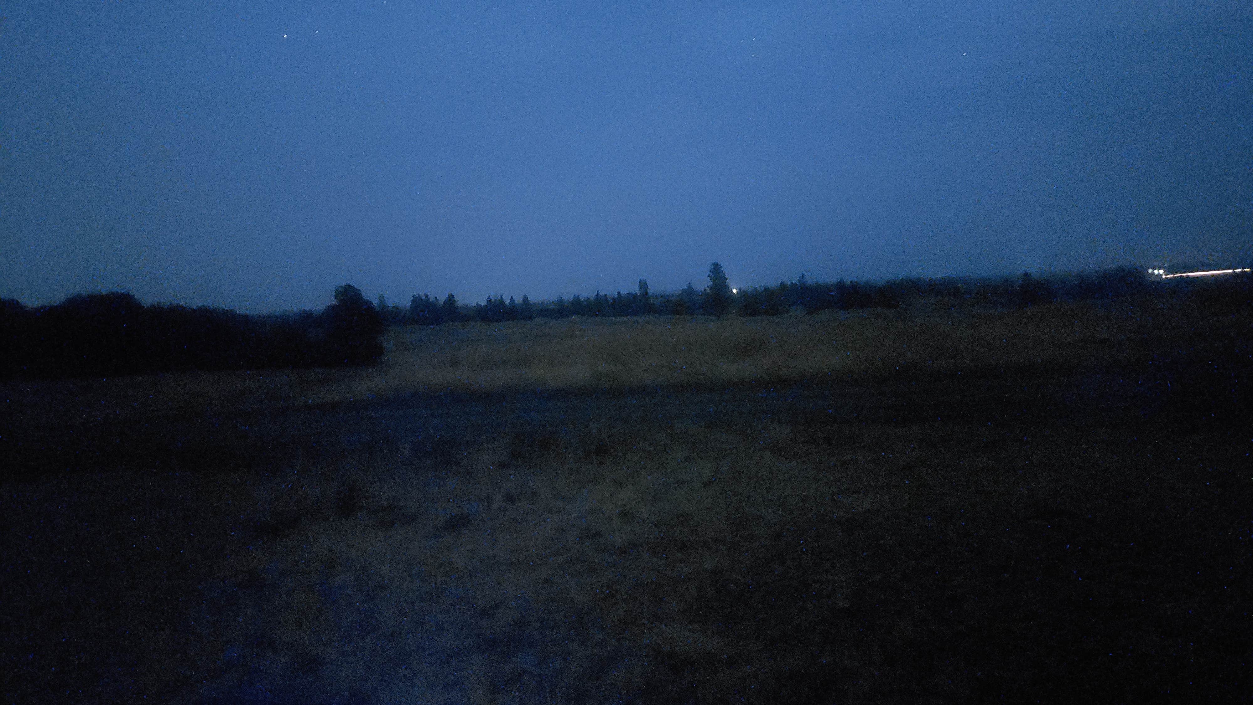ron R.'s photo of a dispersed camping area at Hog Lake Campground near Chattaroy, WA