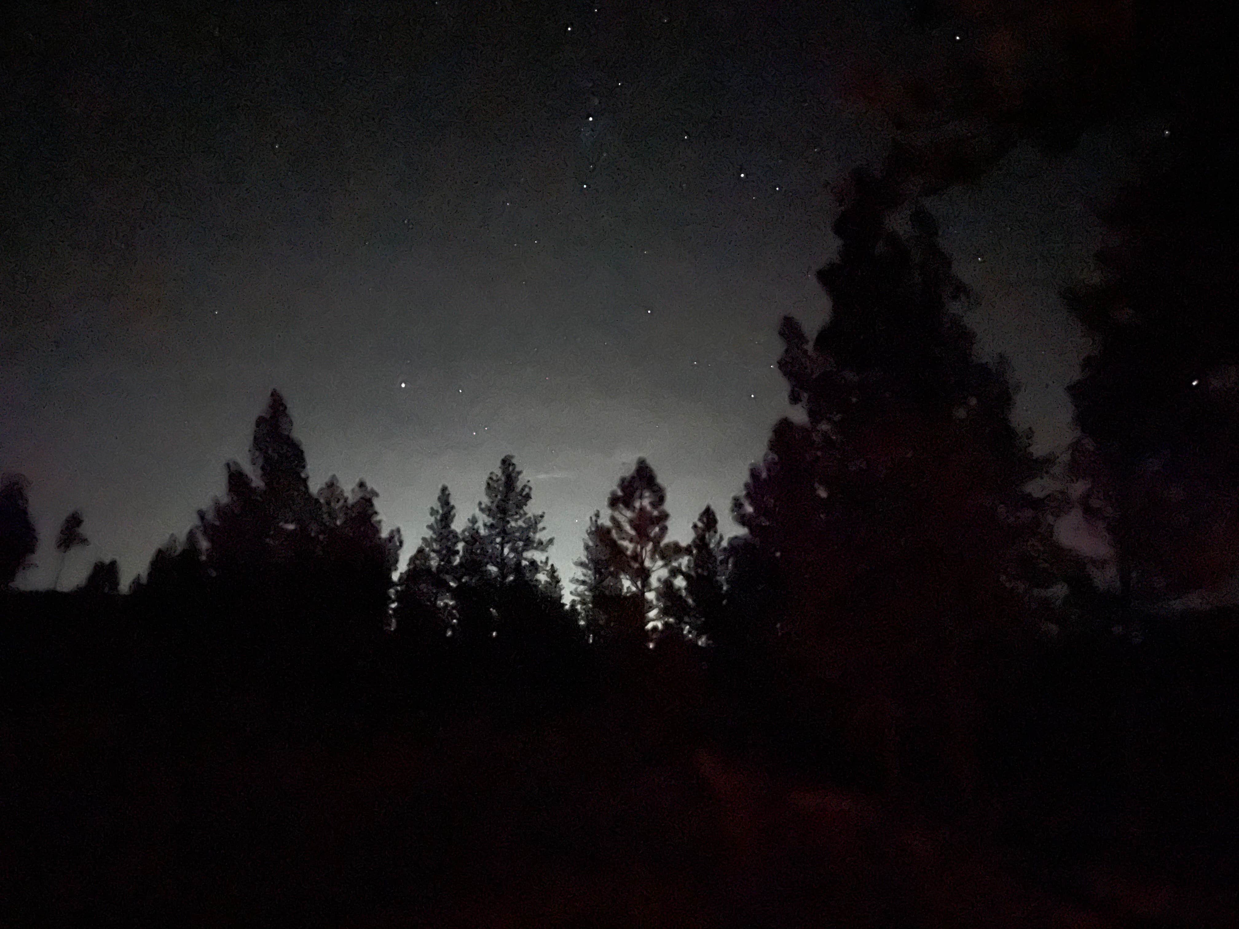 Angie A.'s photo of a dispersed camping area at Hog Lake Campground near Tumtum, WA