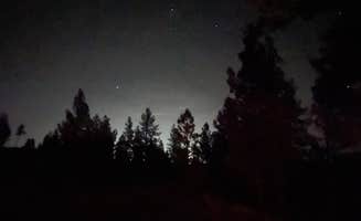 Angie A.'s photo of a dispersed camping area at Hog Lake Campground near Newman Lake, WA