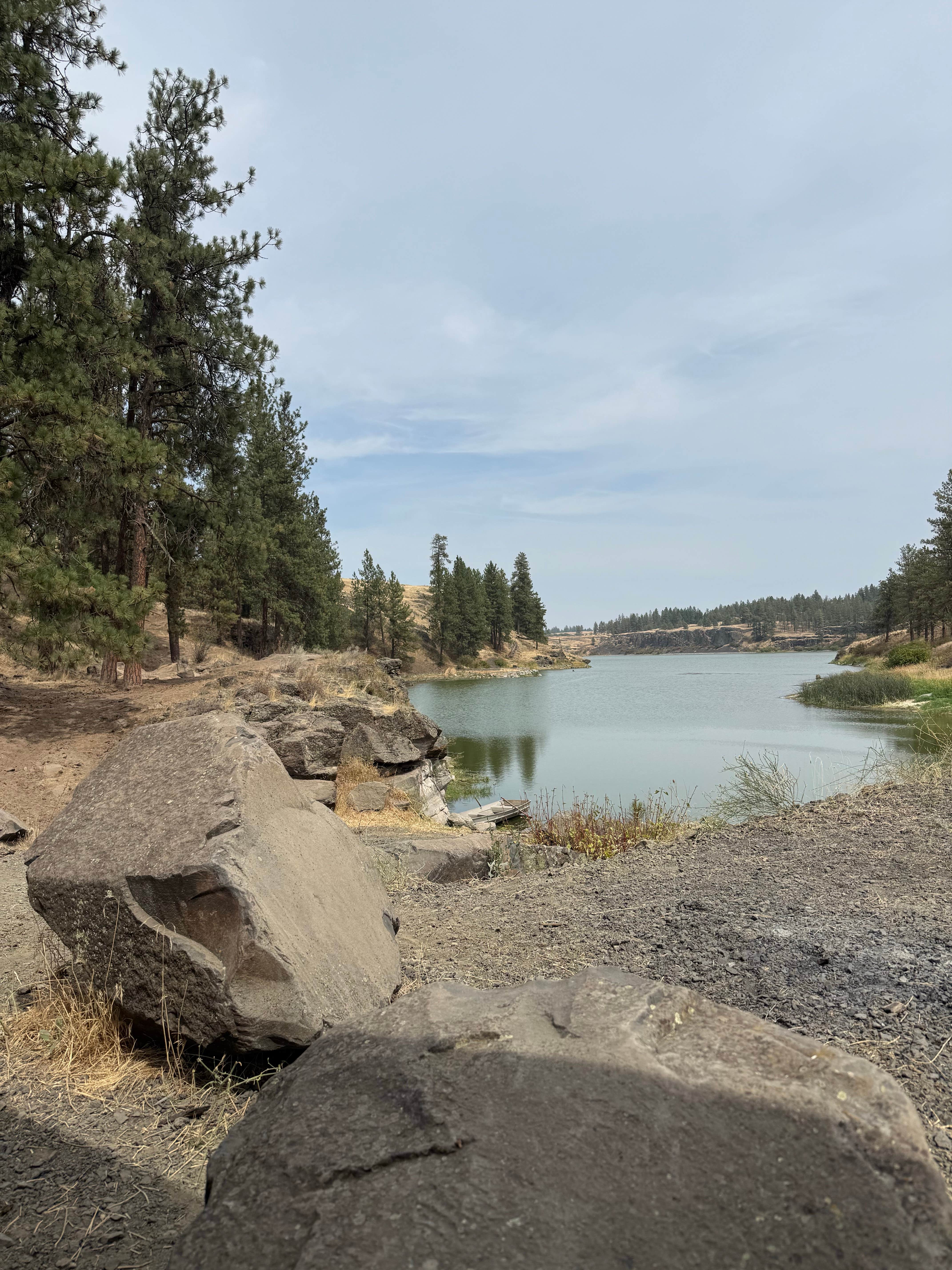Yasir A.'s photo of a dispersed camping area at Hog Lake Campground near Tumtum, WA
