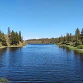 Review photo of Hog Lake Campground by Carol B., May 5, 2026