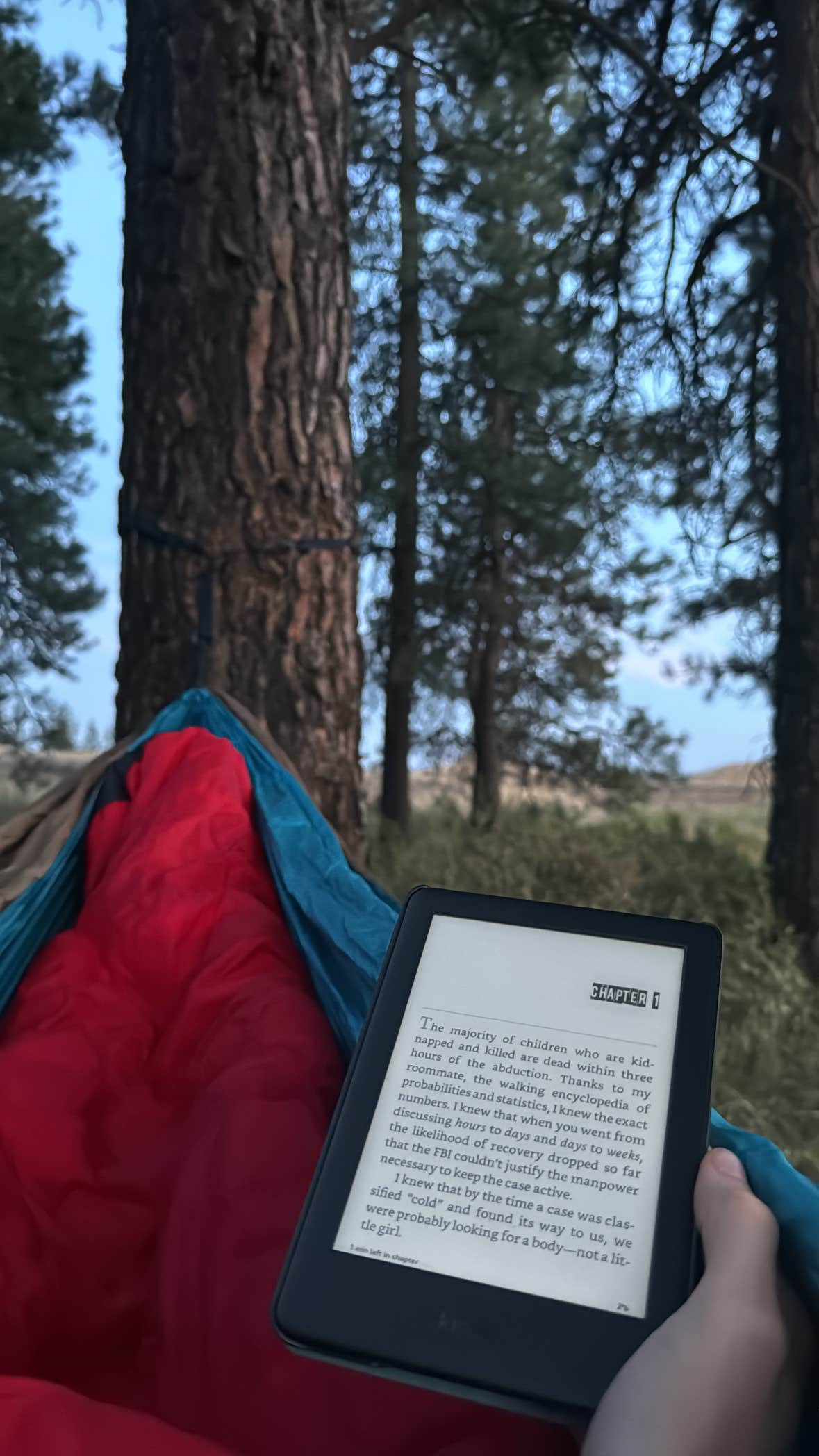 Camper-submitted photo at Hog Lake Campground near St. John, WA