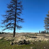 Review photo of Hog Lake Campground by Teresa A., December 6, 2025