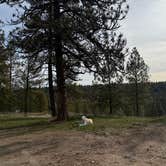 Review photo of Hog Lake Campground by Josh W., March 3, 2026