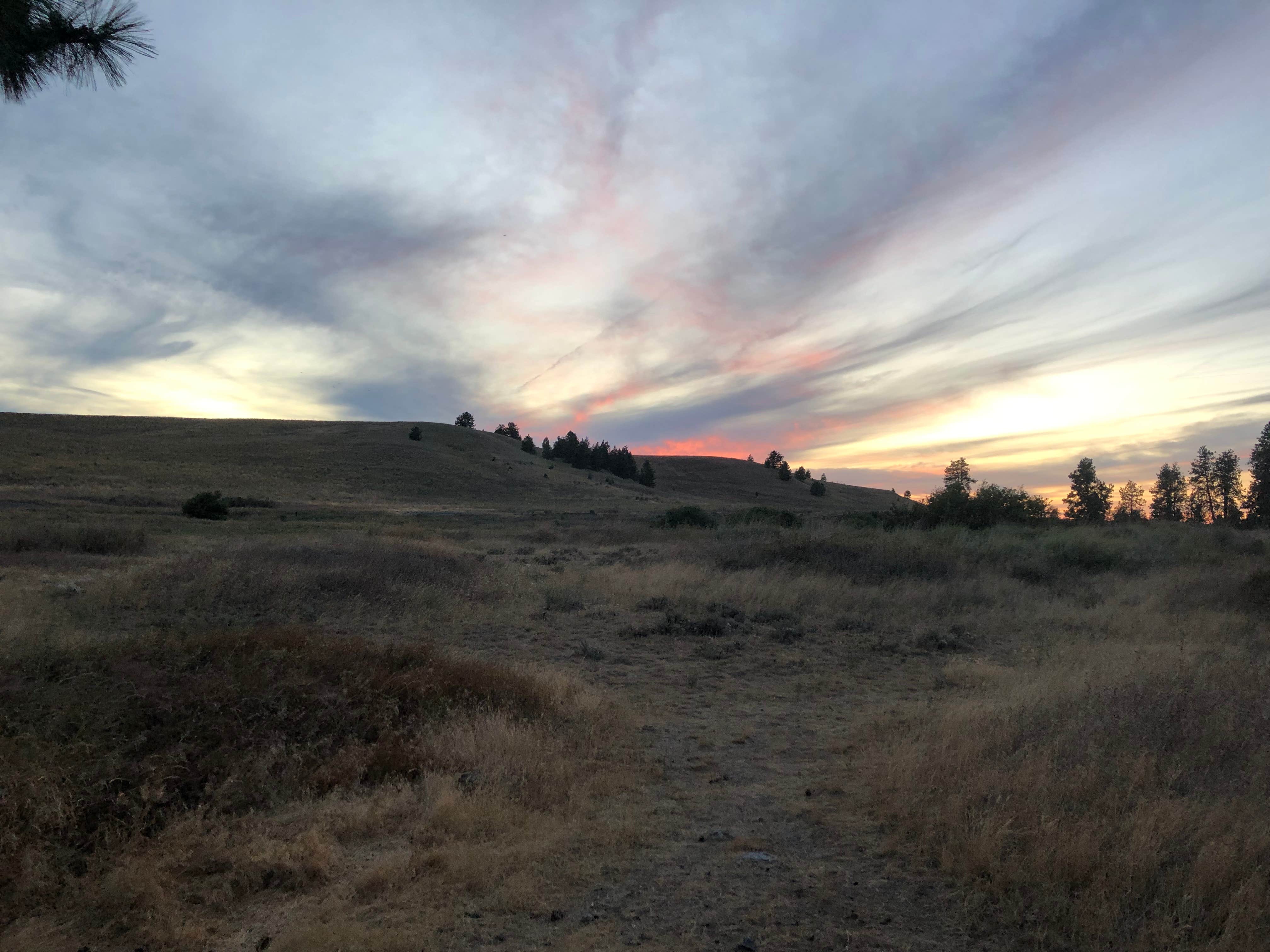 Meatball W.'s photo of a dispersed camping area at Hog Lake Campground near Nine Mile Falls, WA