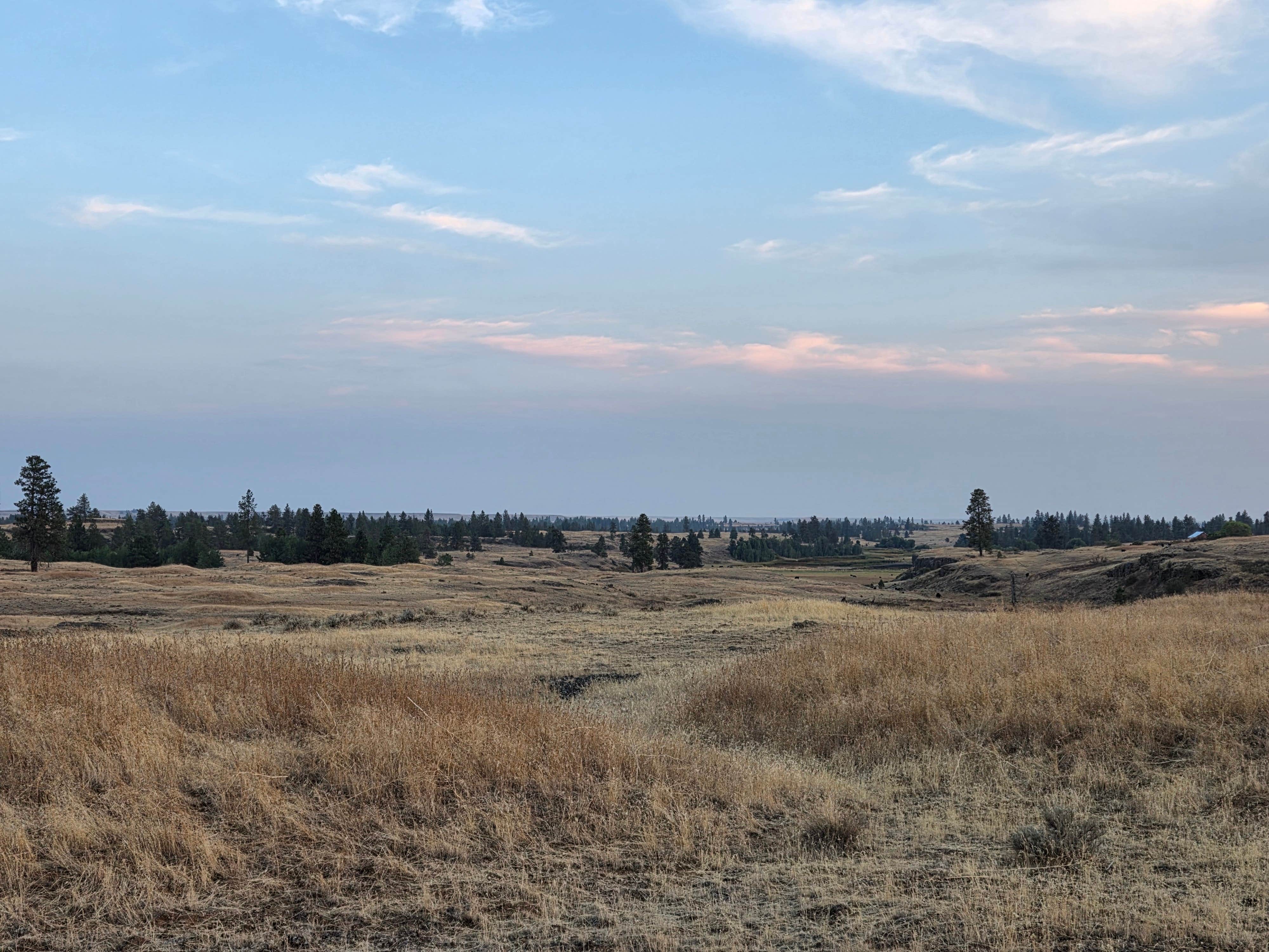 Camper-submitted photo at hog lake campground near Colfax, WA