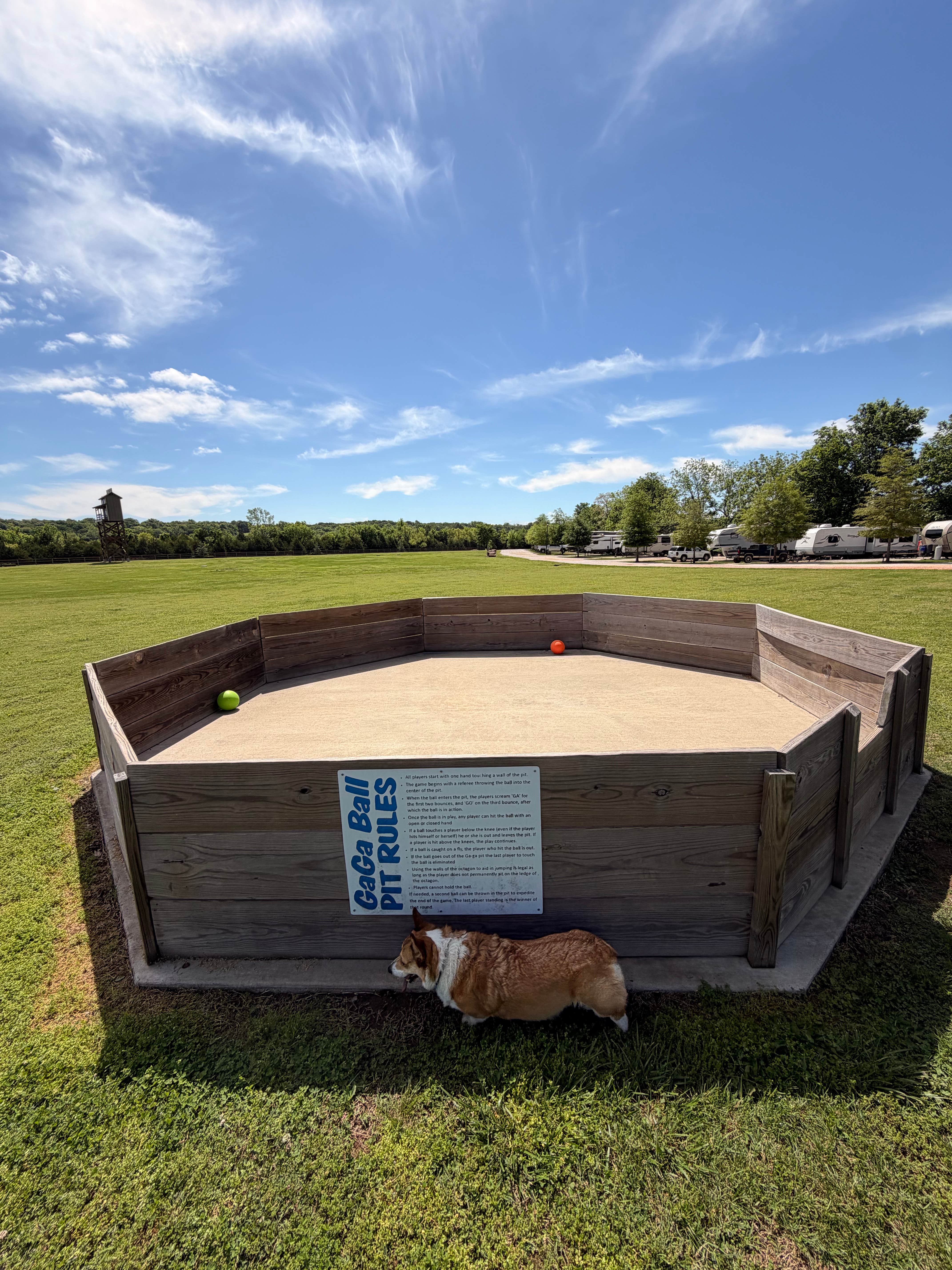 Camper-submitted photo at Hog Valley RV & Treehouse Resort near St. Paul, AR