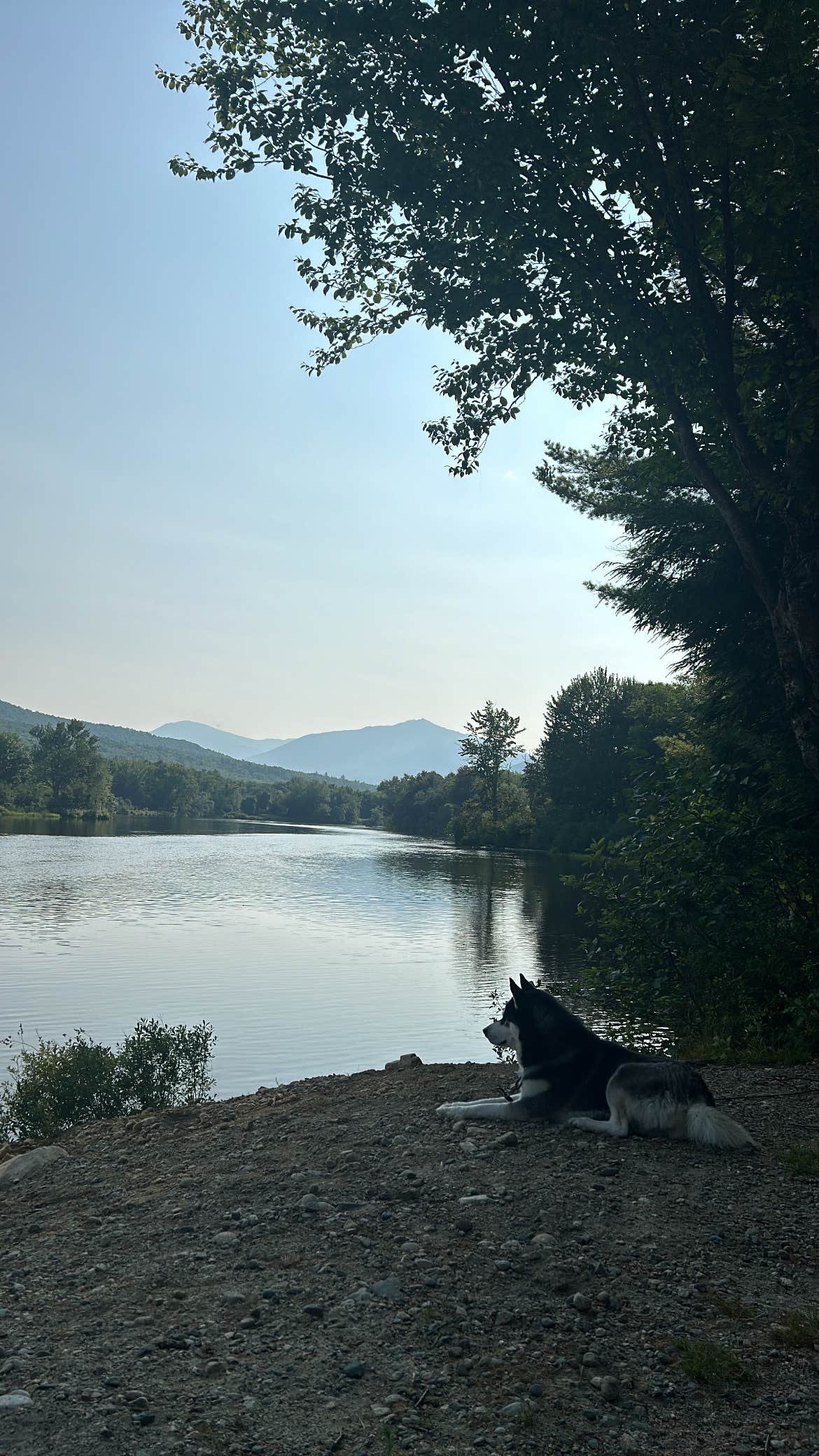 Laurel P.'s photo of a dispersed camping area at Hogan Road Pulloff near Appalachian Trail near Peru, ME