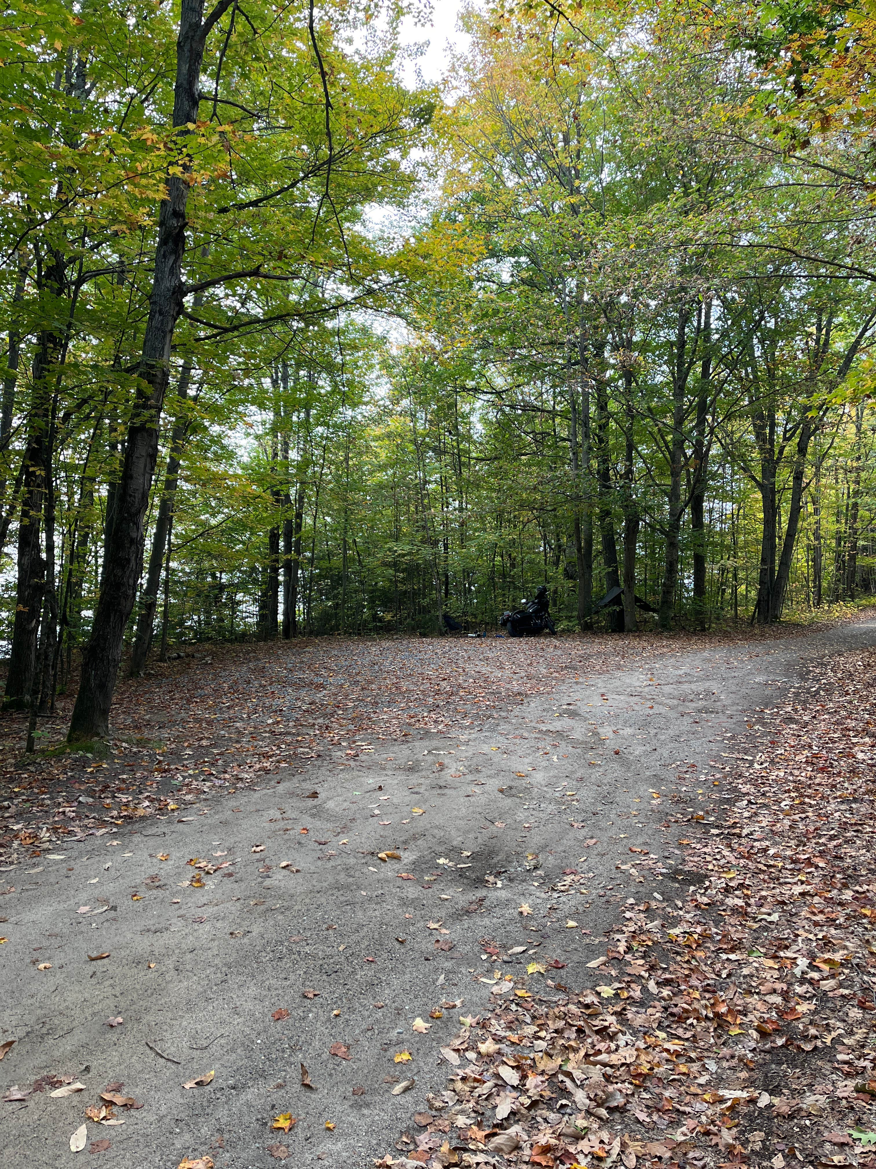 Camper-submitted photo at Hogan Road Pulloff near Appalachian Trail near Peru, ME