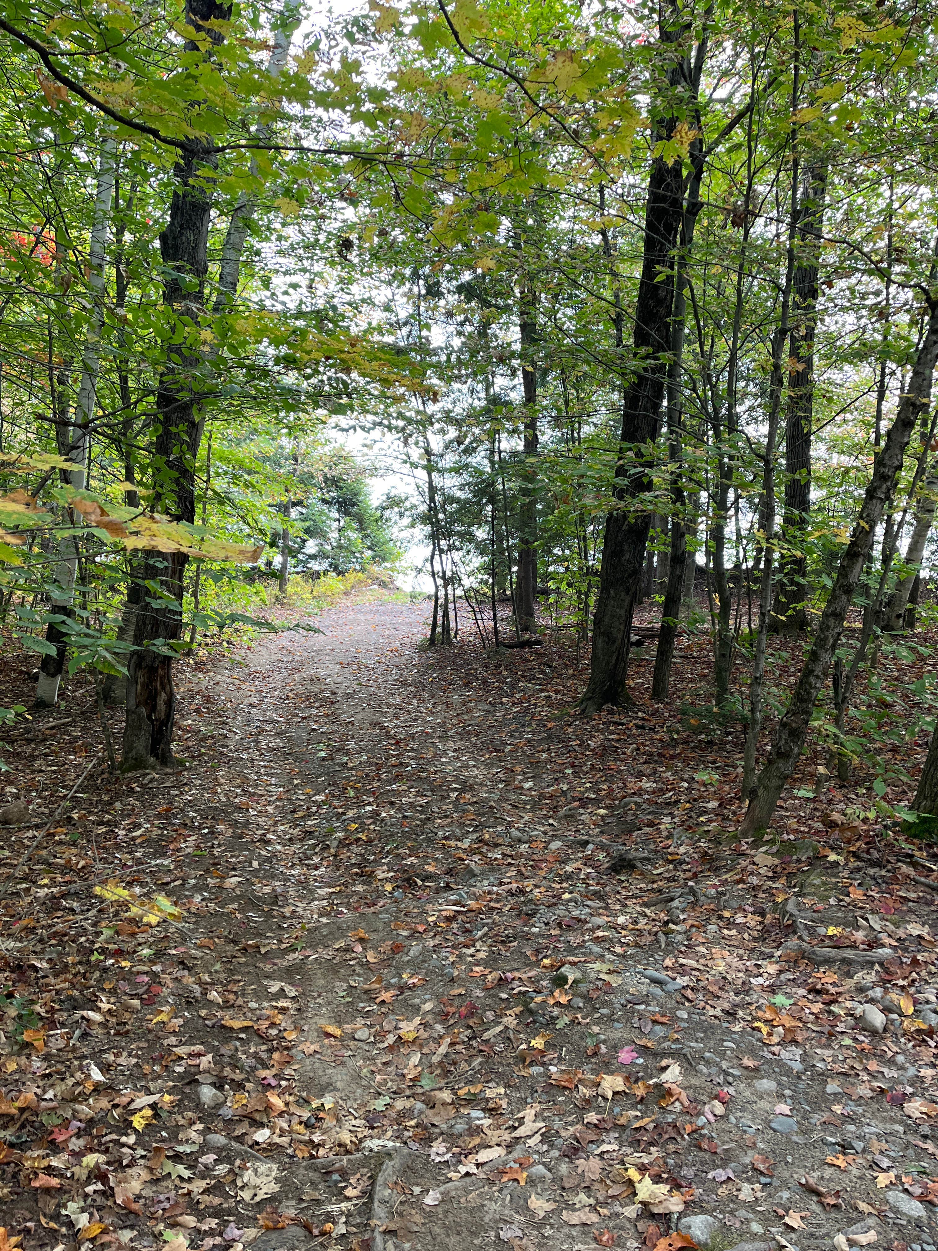 Camper-submitted photo at Hogan Road Pulloff near Appalachian Trail near Peru, ME