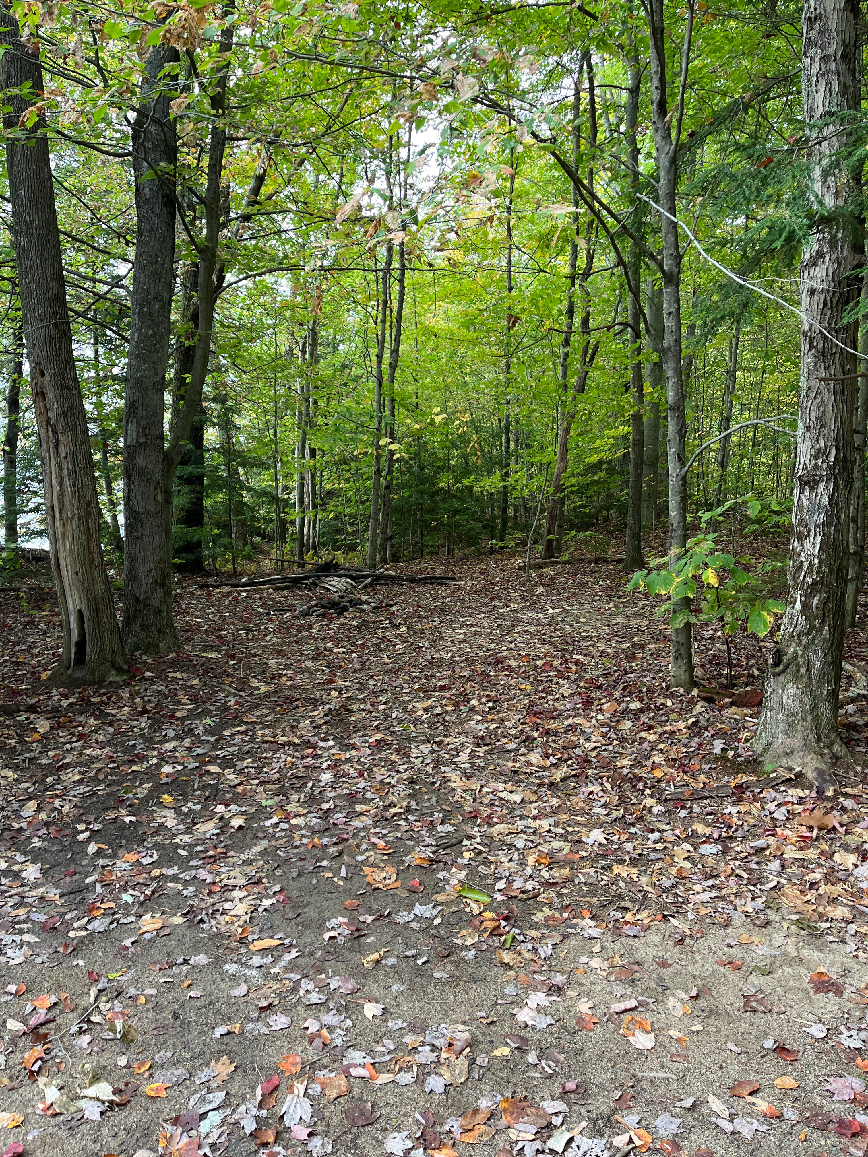 Camper-submitted photo at Hogan Road Pulloff near Appalachian Trail near Peru, ME