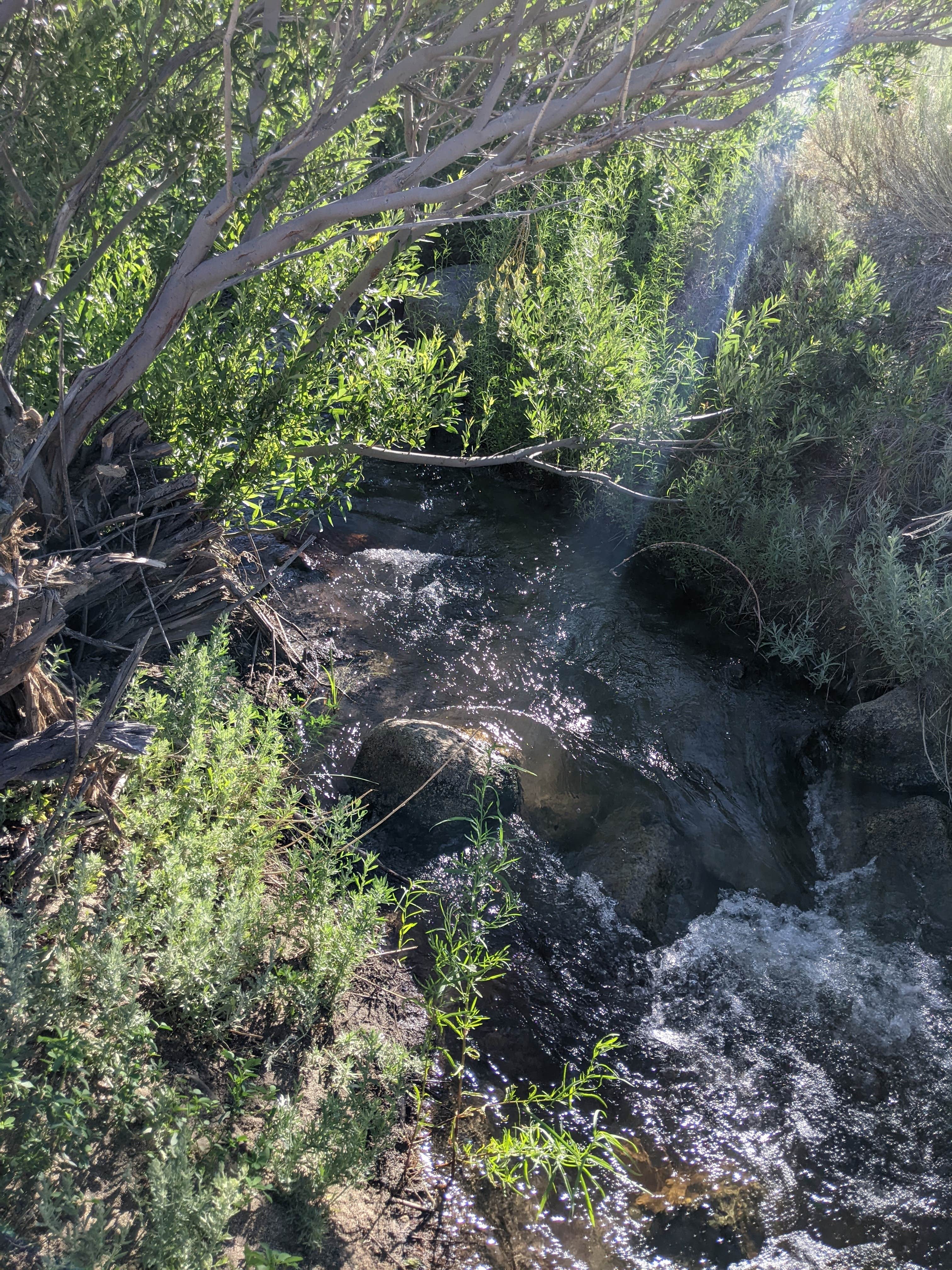 Camper-submitted photo at Hogback Creekside Camp near Alabama Hills, CA