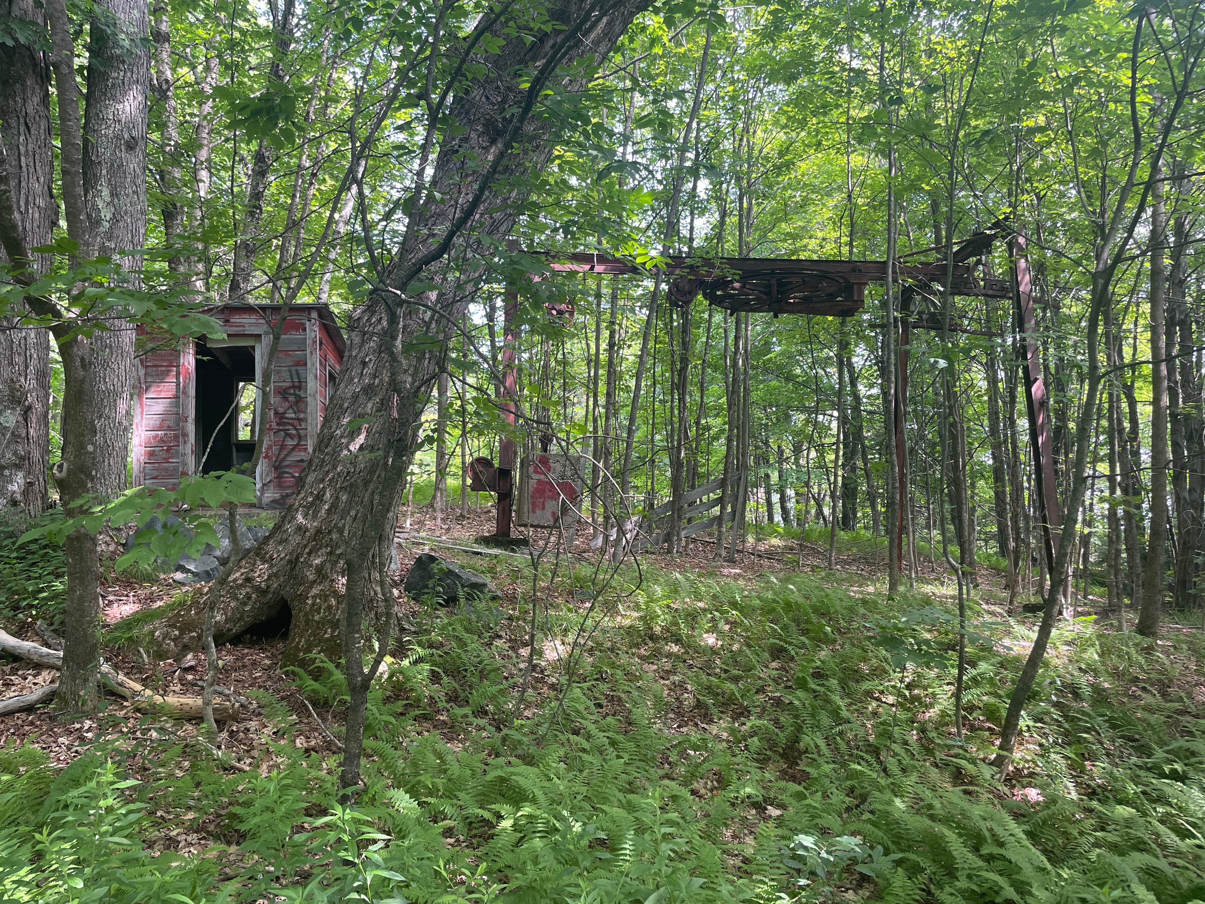 Camper-submitted photo at Hogback Mtn Trailhead near Bellows Falls, VT