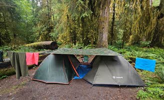 Stephen K.'s photo at Hoh Campground — Olympic National Park near Olympic National Park