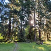 Review photo of Hoh Campground — Olympic National Park by Ofir G., June 15, 2026