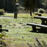 Review photo of Hoh National Park Rainforest by Fraun P., September 18, 2026