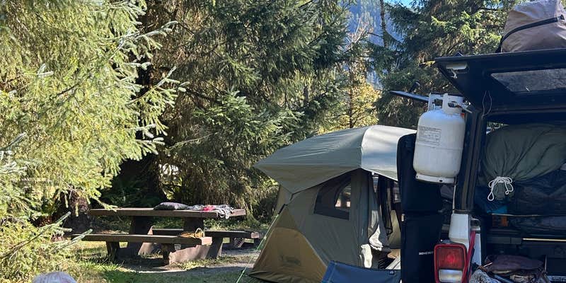 Camper submitted image from Hoh National Park Rainforest