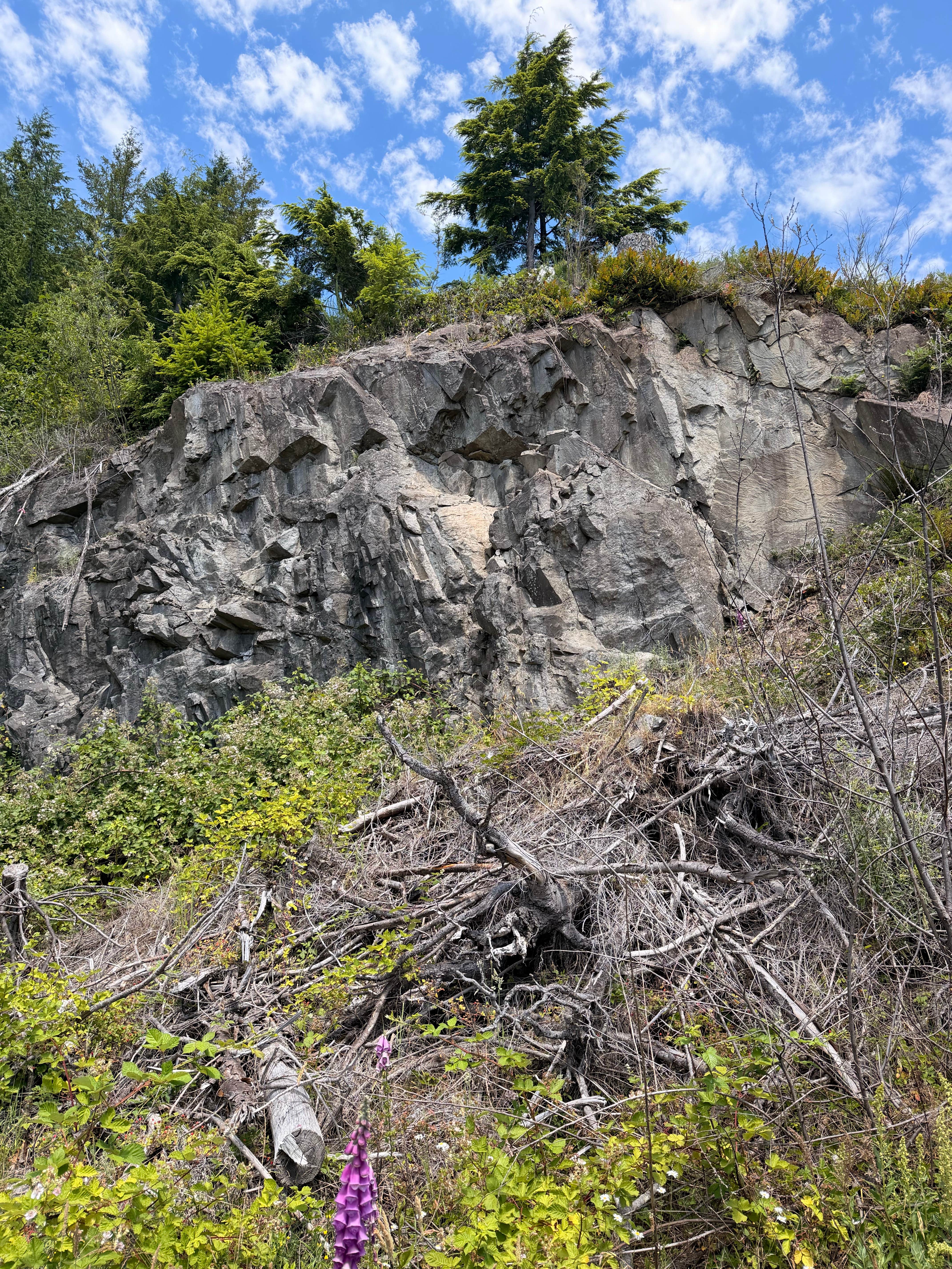Camping near Cardlin Run — Olympic National Park: hoh rec area dispersed, Sol Duc Hot Springs, Washington