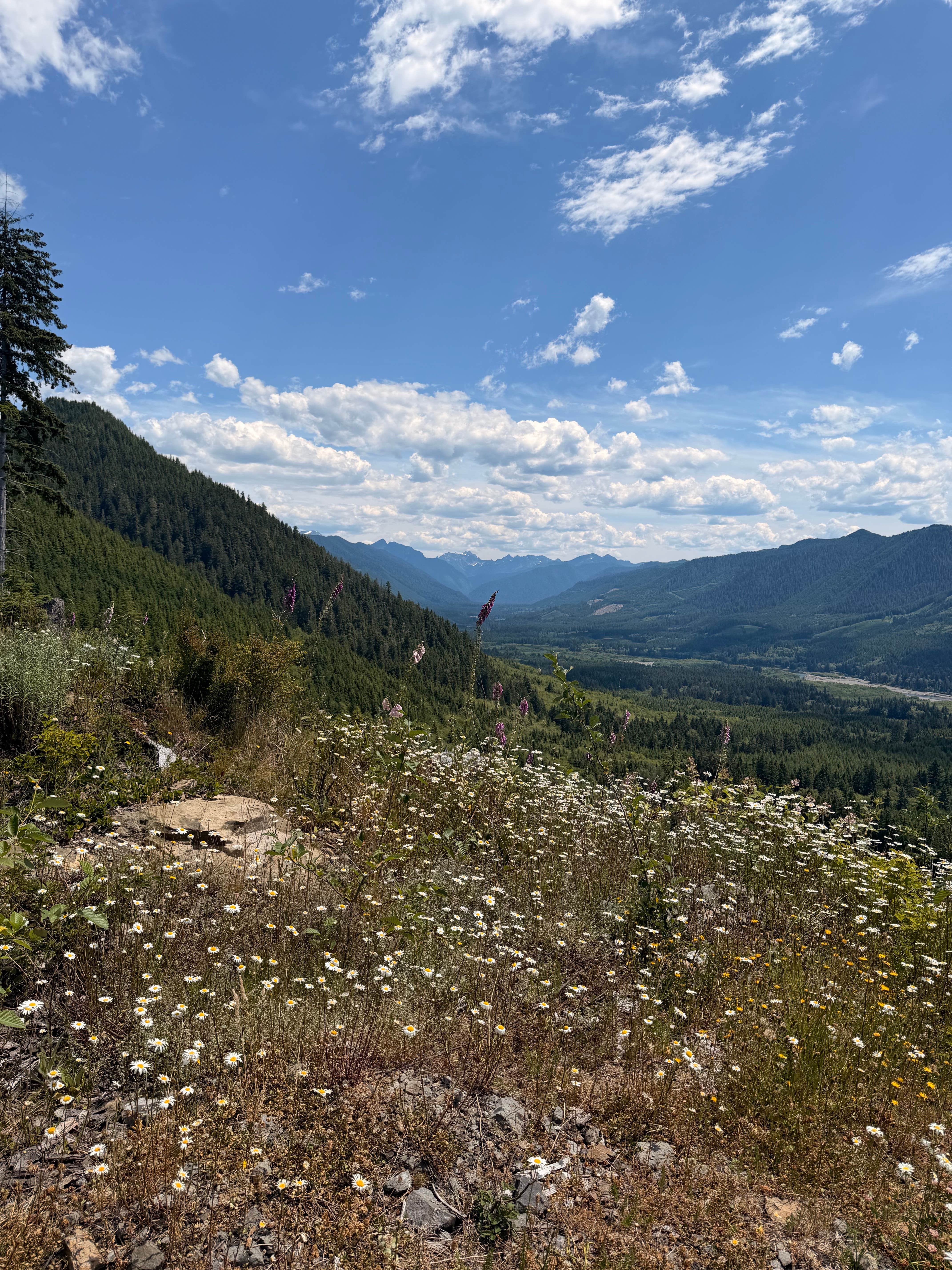 Camping near Cardlin Run — Olympic National Park: hoh rec area, Sol Duc Hot Springs, Washington