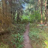 Review photo of Hoh River Dream Spot by Emma L., June 22, 2026